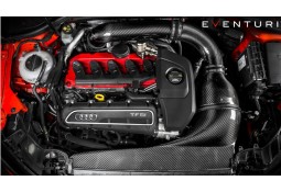 Admission Carbone EVENTURI pour Audi RS3 8V (-08/2017)