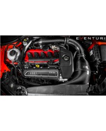 Admission Carbone EVENTURI pour Audi RS3 8V (-08/2017)