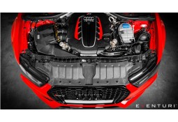 Admission Carbone EVENTURI pour AUDI RS6 C7 / RS7 C7