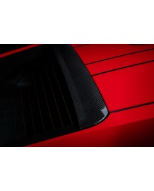 Becquet de toit Carbone TECHART pour Porsche 991.2 GT3