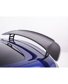Becquet / Aileron RSR PIECHA pour Mercedes AMG GT GTS Coupé C190 (2015-2021)