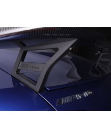 Becquet / Aileron RSR PIECHA pour Mercedes AMG GT GTS Coupé C190 (2015-2021)