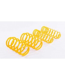 Ressorts courts ST Suspensions VW Polo (6R) (06/2009+)