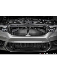 Admission Carbone EVENTURI pour BMW M5 F90 / M8 F92 F91 F93
