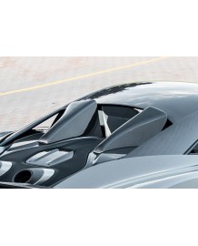 Prises d'Air Centrales Arrière Carbone NOVITEC McLaren 600 LT Coupe