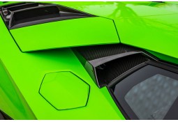 Prises d'air de vitres Carbone NOVITEC Lamborghini Aventador SVJ  + ULTIMAE