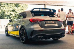 Embouts d'échappement MILLTEK Mercedes A35 AMG (W177) (2019+)