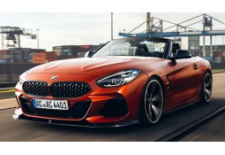 Lame de Spoiler AC SCHNITZER pour Bmw Z4 (G29) Pack M (2019+)