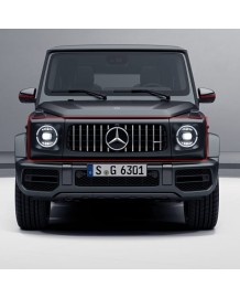 Calandre Panamerica G63 AMG pour Mercedes Classe G (W463A)(06/2018+)