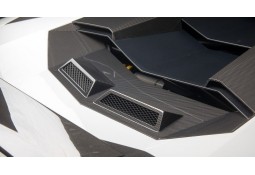 Ventilation moteur Carbone NOVITEC Lamborghini Aventador (+S) Coupé