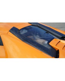 Prises d'air capot moteur carbone NOVITEC Lamborghini Huracan Performante Coupé (2017+) (Carbone Forged)