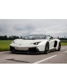 Ressorts courts filetés NOVITEC pour Lamborghini Aventador/Roadster