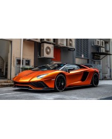 Ressorts courts filetés NOVITEC pour Lamborghini Aventador S / Roadster S