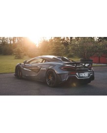 Echappement NOVITEC McLaren 600LT - Tubes de sorties RACE