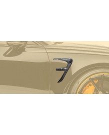 Splitter d'ailes avant Carbone MANSORY pour Audi RS6 C8 (2020+)