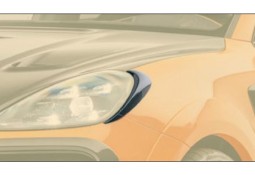 Entourage de phares Carbone MANSORY Porsche Cayenne Coupé & SUV E3 (2018+)
