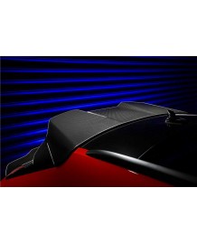 Becquet de toit Carbone DARWINPRO Audi RS6 C8 (2020+)