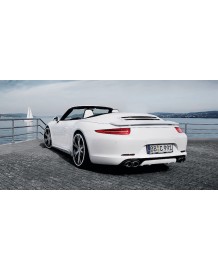 Aileron arrière N°1 TECHART Porsche 991 (2012+)