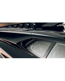 Prises d'air vitres Carbone NOVITEC Lamborghini Huracan STO Coupé