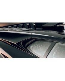 Prises d'air vitres Carbone NOVITEC Lamborghini Huracan STO Coupé